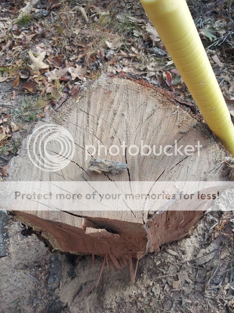 HowTo split wood with only a maul. 30+ pics. We laugh we cry, we split