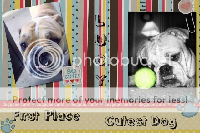 LUCYCUTESTDOG.jpg