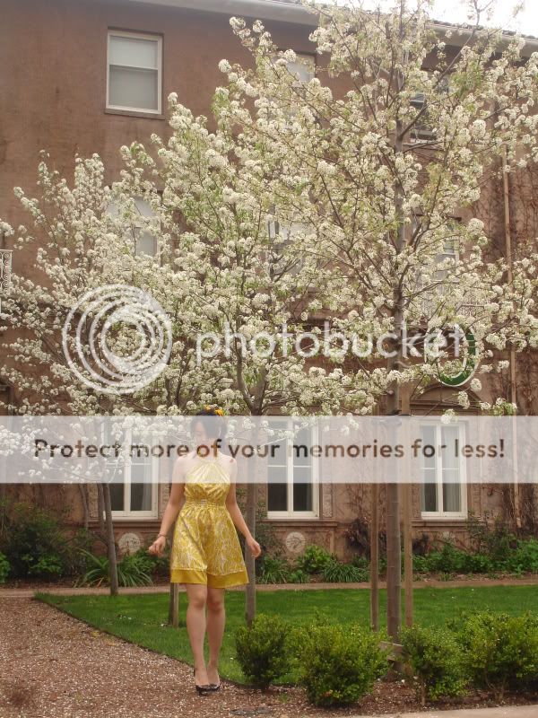 Yellow Dress, Roble, Forever21
