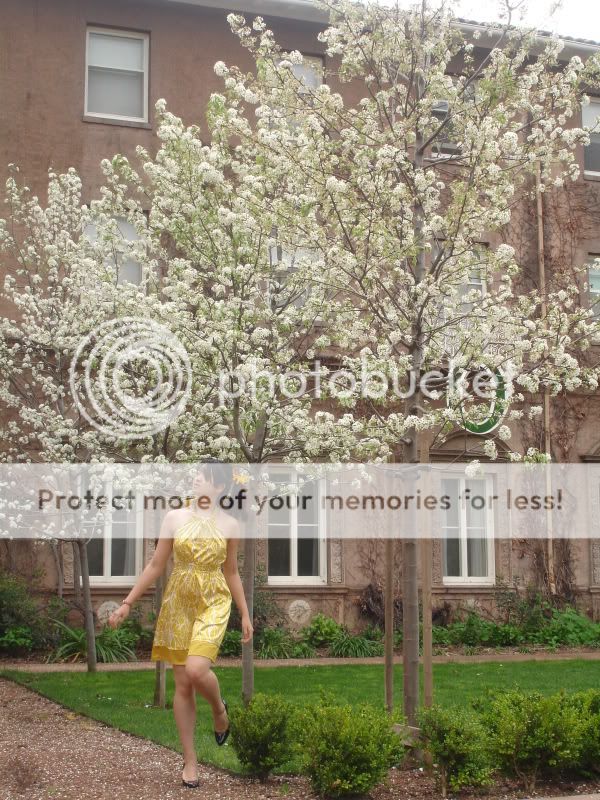 Yellow Dress, Roble, Forever21