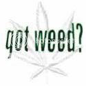 need weed Pictures, Images and Photos