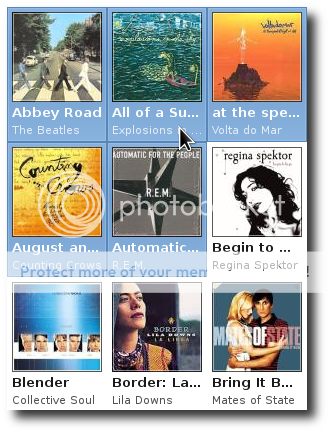 screenshot showing the album browser in grid mode
