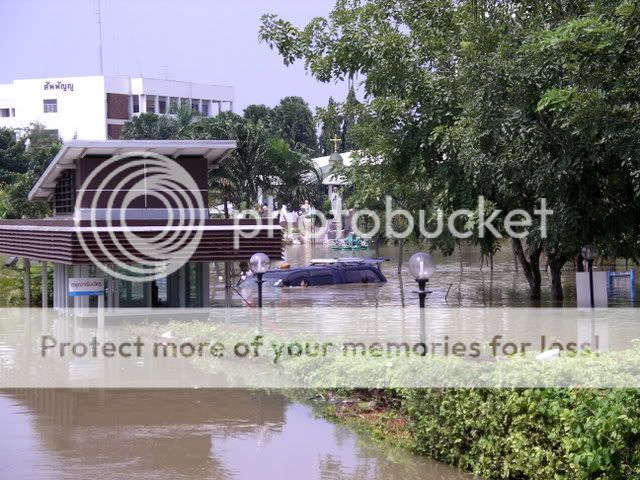 IMGP0068.jpg