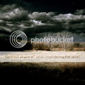 Photography Pictures, Images and Photos