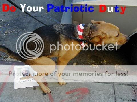 Osama in Laden remember him. has eliminated Osama Bin Laden