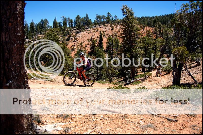Photobucket Photobucket