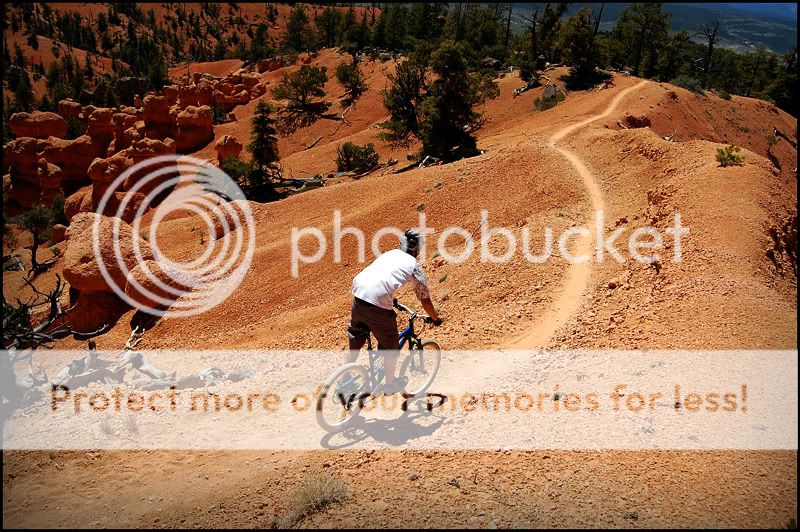 Photobucket Photobucket