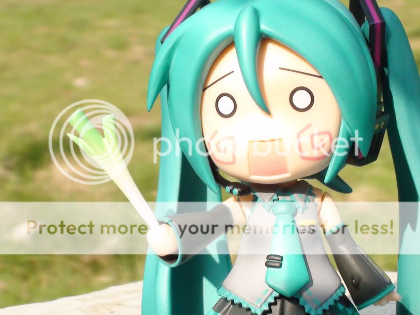 初音翻白眼 [11p]